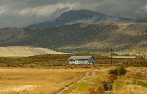 house in middle of yellow field