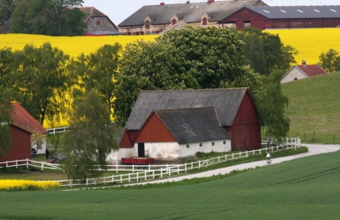 farmhouse with fields