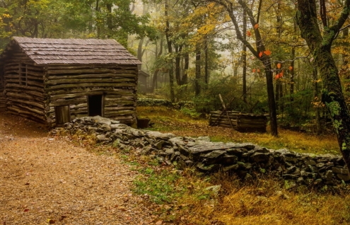 log cabin in forest
