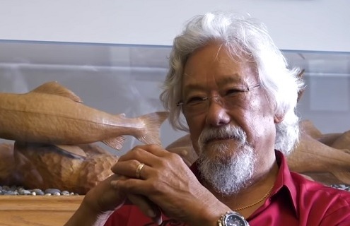 David Suzuki video